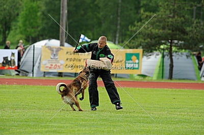 Crutt Av Staalhjerte