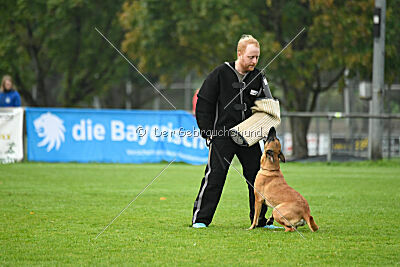 Cute von der Großen Freiheit
