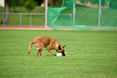 Cute von der großen Freiheit