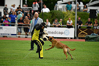 Cute von der großen Freiheit