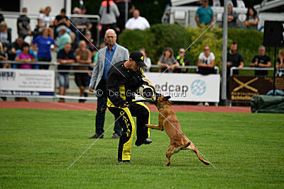 Cute von der großen Freiheit