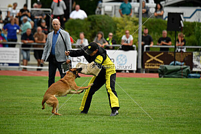 Cute von der großen Freiheit