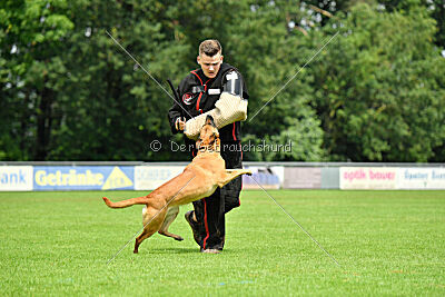 Cute von der großen Freiheit