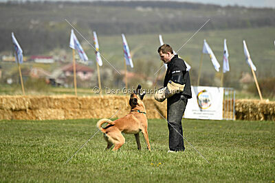 D&C's Captain Fizzgig