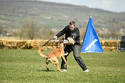 D&C's Captain Fizzgig