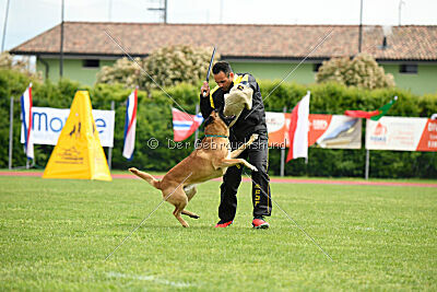 D&C's Captain Fizzgig