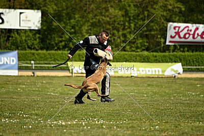 Da Liah Primus Proeliator