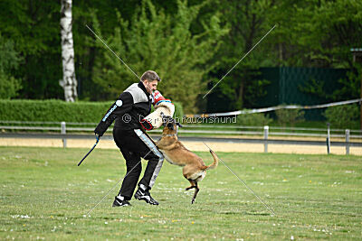 Da Liah Primus Proeliator