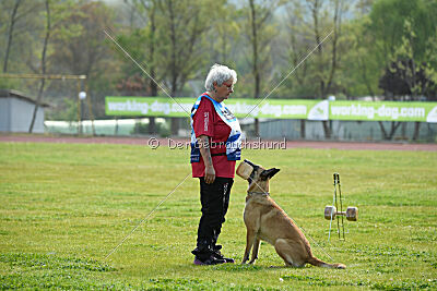 Dahawk de la Videmanette