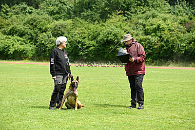Daika von der schwarzen Mamba