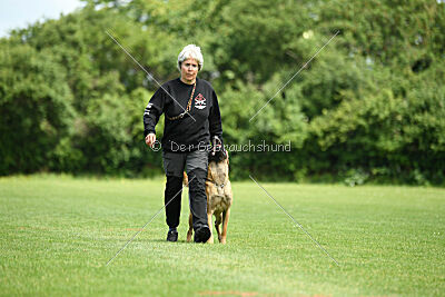 Daika von der schwarzen Mamba