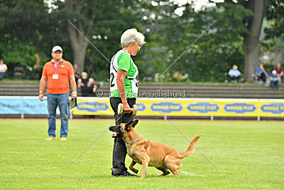 Daika von der schwarzen Mamba