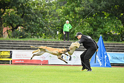 Daika von der schwarzen Mamba