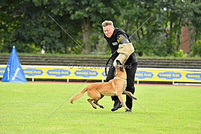 Daika von der schwarzen Mamba