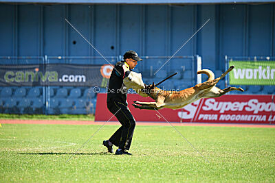Daika von der schwarzen Mamba