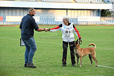 Daika von der schwarzen Mamba
