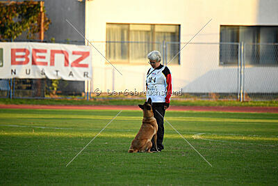 Daika von der schwarzen Mamba