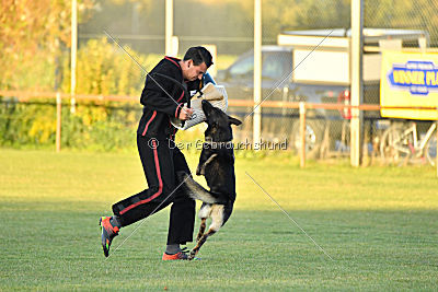 Daimond vom Haus Cokasa