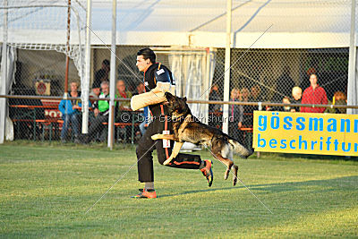 Daimond vom Haus Cokasa