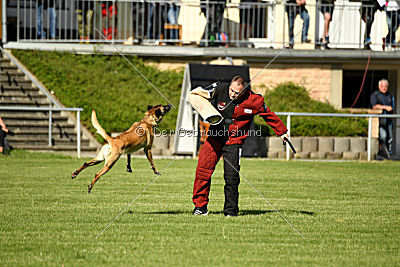 Daiquiri vom Hirtengarten