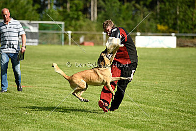 Daiquiri vom Hirtengarten