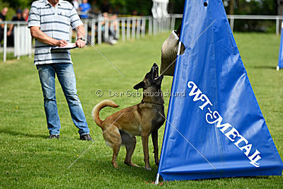 Daiquiri vom Hirtengarten
