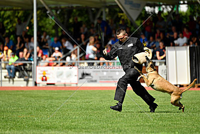 Daiquiri vom Hirtengarten