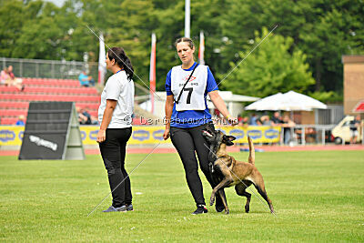 Daiquiri vom Mittelpunkt