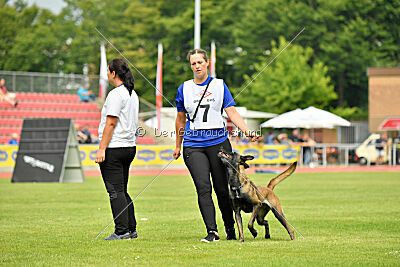 Daiquiri vom Mittelpunkt