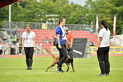 Daiquiri vom Mittelpunkt