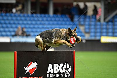 Dammit vom wilden Hexenkessel