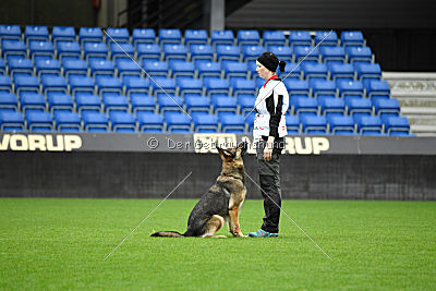 Dammit vom wilden Hexenkessel