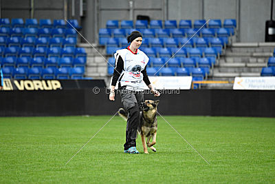 Dammit vom wilden Hexenkessel