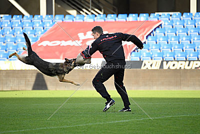 Dammit vom wilden Hexenkessel