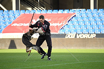 Dammit vom wilden Hexenkessel