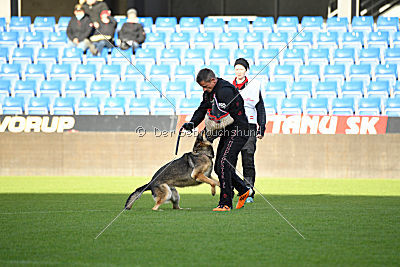 Dammit vom wilden Hexenkessel