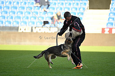 Dammit vom wilden Hexenkessel