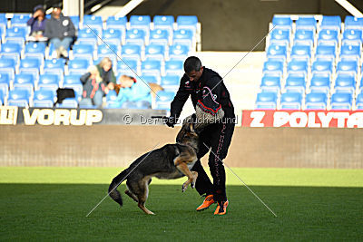 Dammit vom wilden Hexenkessel