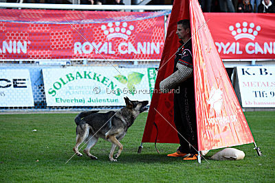 Dammit vom wilden Hexenkessel