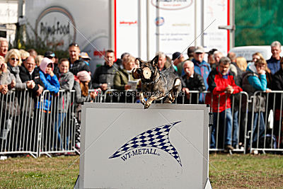 Daquira vom Alten Försterhaus