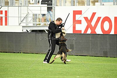 Darik vom Kaiserhaus