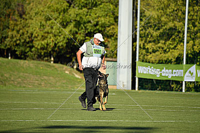 Darik vom Kaiserhaus