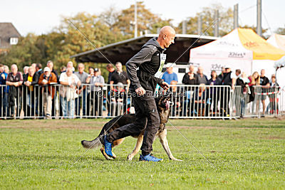 Dario von der Dinkelberger Höhe