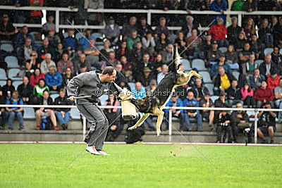 Dario von der Dinkelberger Höhe