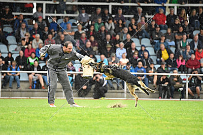 Dario von der Dinkelberger Höhe