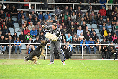 Dario von der Dinkelberger Höhe