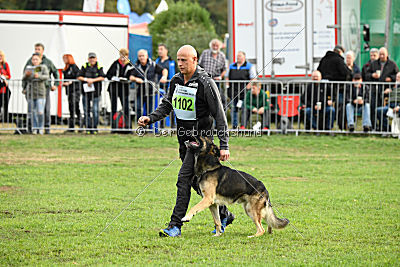 Dario von der Dinkelberger Höhe