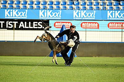 Dark vom Haus Pixner