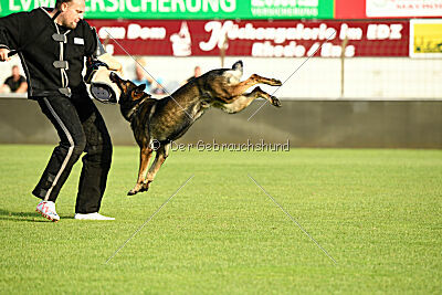 Dark vom Haus Pixner