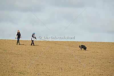 Darka King Adventure